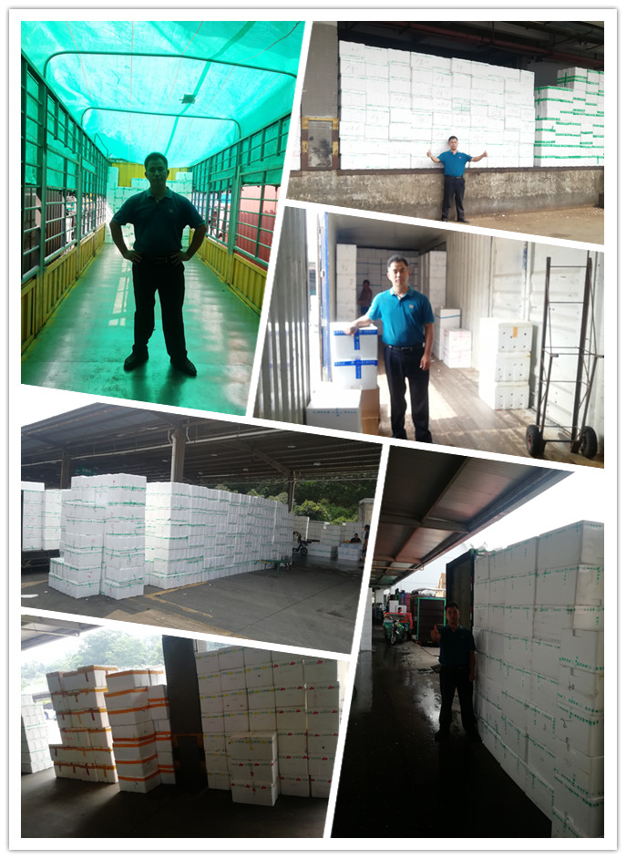 优发国际·随优而动一触即发