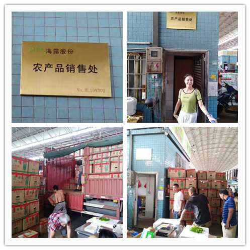 优发国际·随优而动一触即发