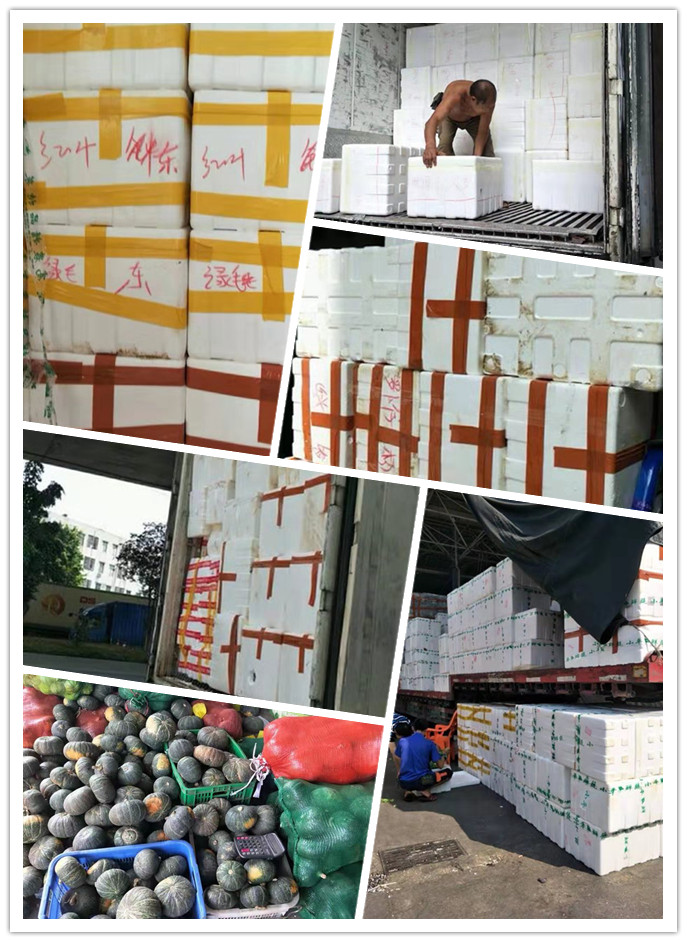 优发国际·随优而动一触即发