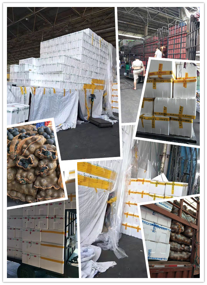 优发国际·随优而动一触即发