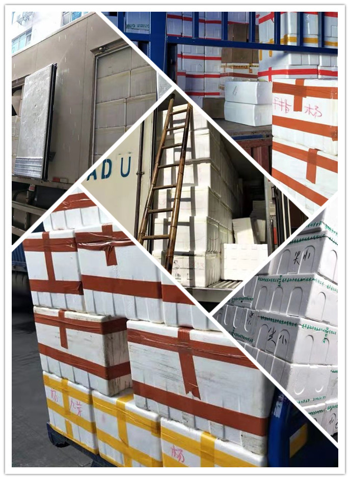 优发国际·随优而动一触即发