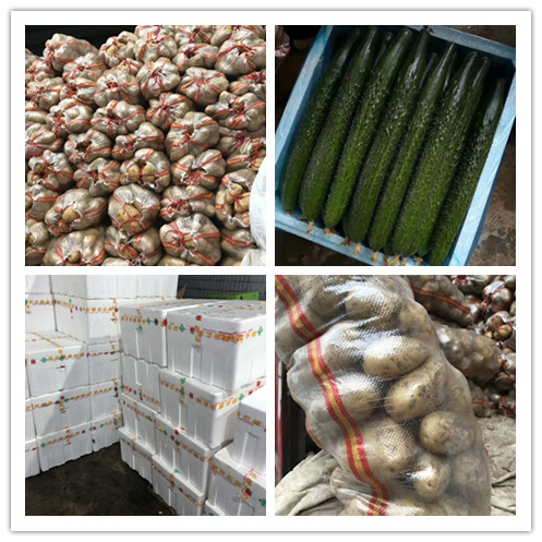 优发国际·随优而动一触即发