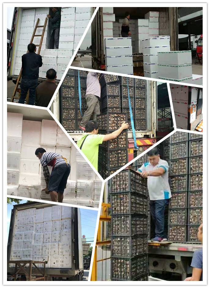 优发国际·随优而动一触即发