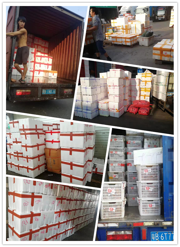 优发国际·随优而动一触即发