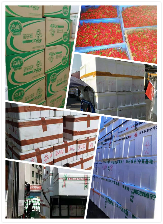 优发国际·随优而动一触即发