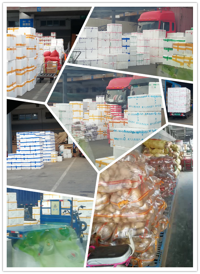 优发国际·随优而动一触即发