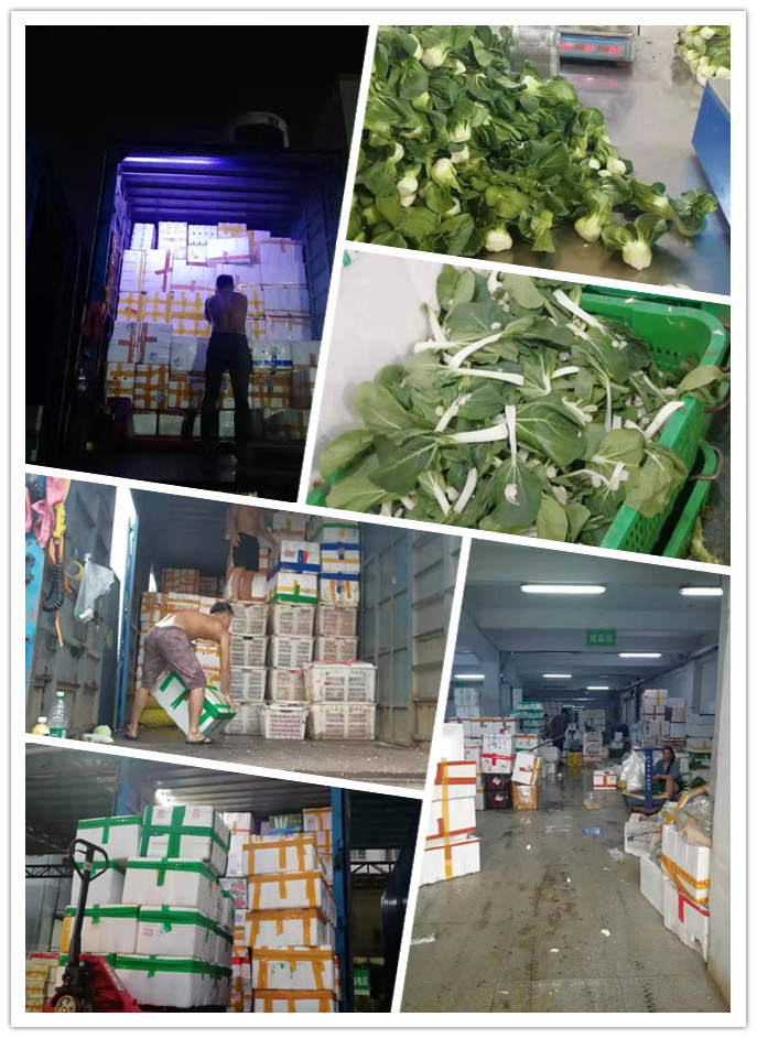 优发国际·随优而动一触即发