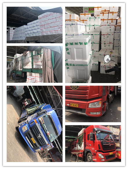 优发国际·随优而动一触即发