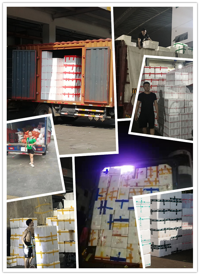 优发国际·随优而动一触即发