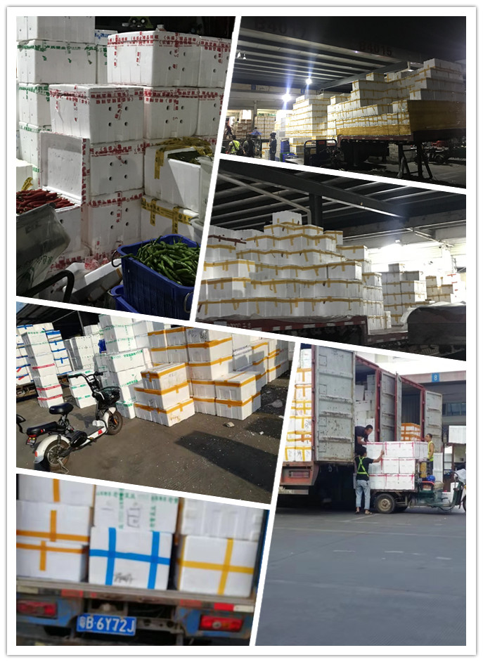 优发国际·随优而动一触即发