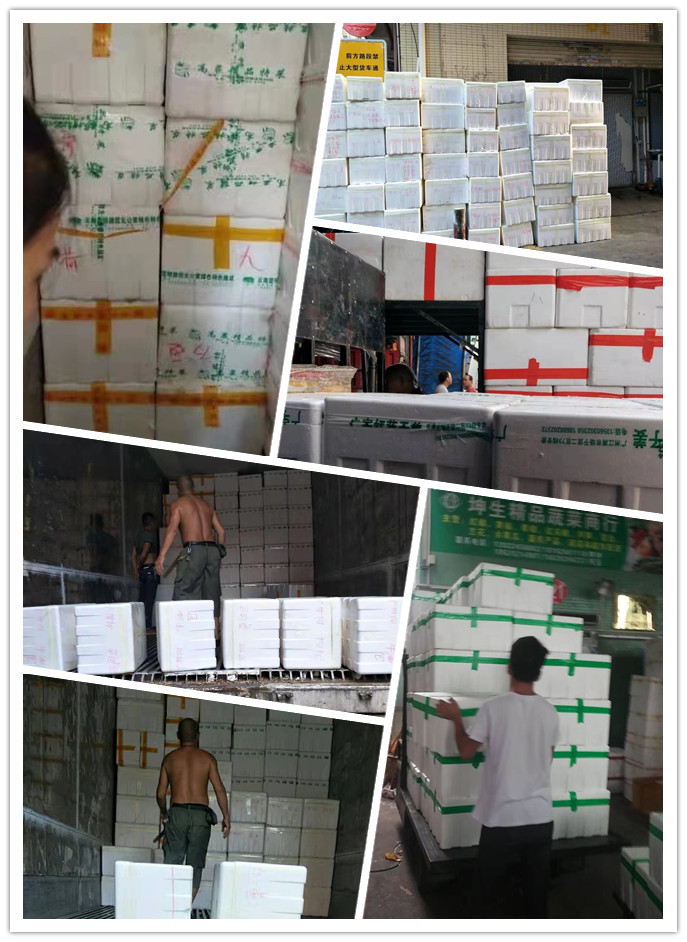 优发国际·随优而动一触即发