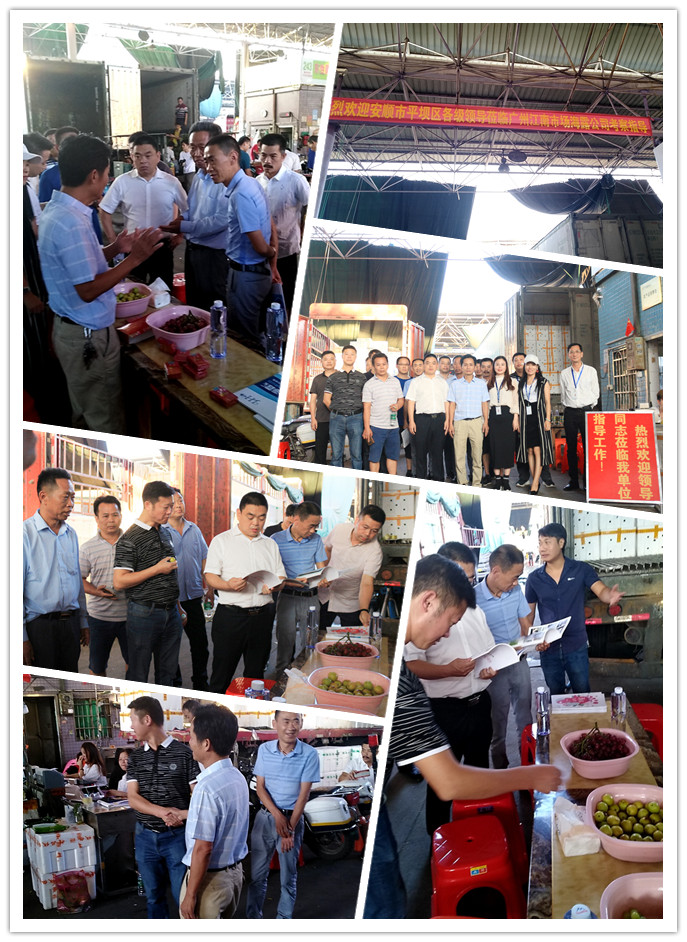 优发国际·随优而动一触即发