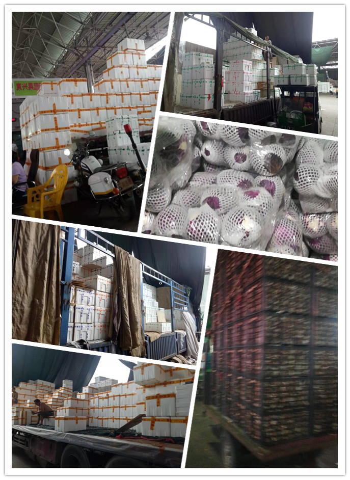 优发国际·随优而动一触即发