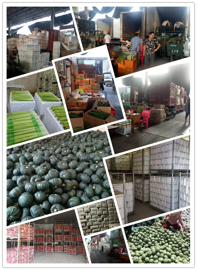 优发国际·随优而动一触即发