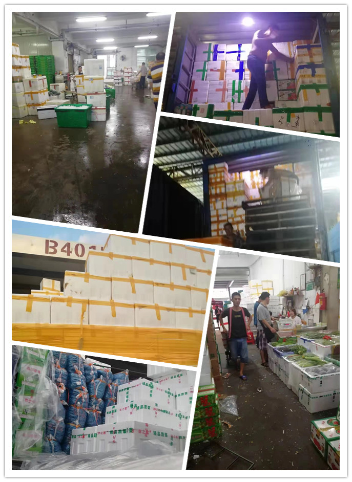 优发国际·随优而动一触即发