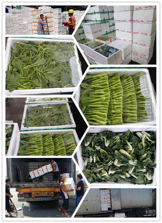 优发国际·随优而动一触即发