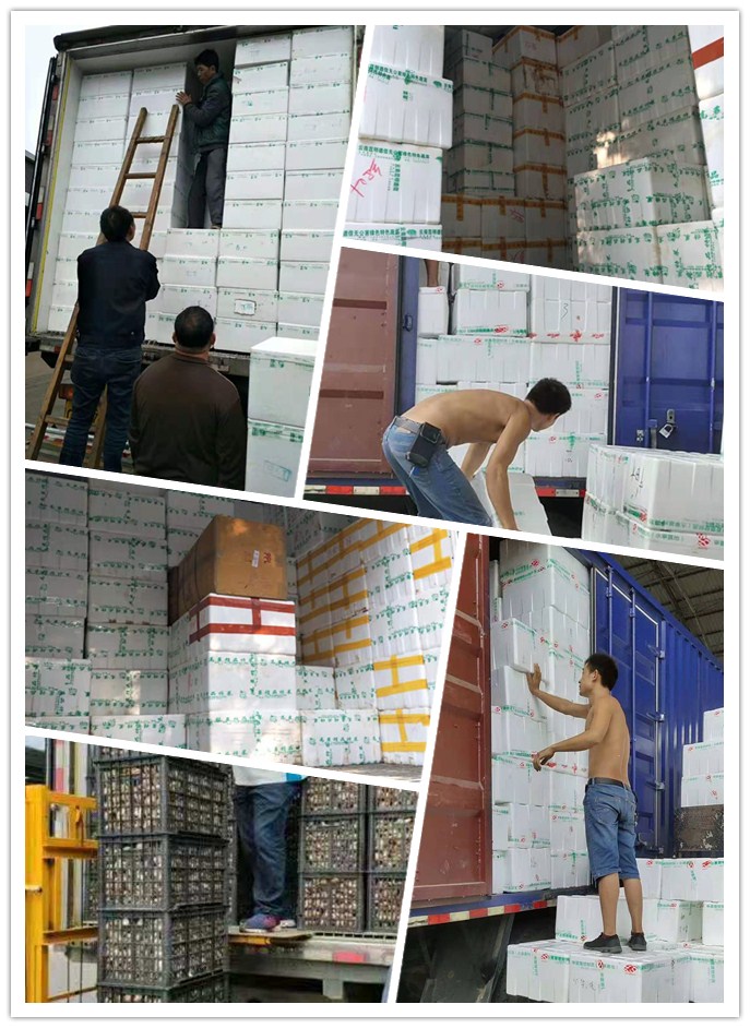 优发国际·随优而动一触即发