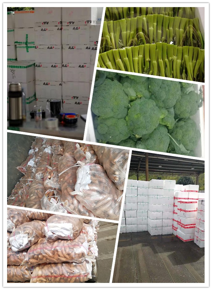 优发国际·随优而动一触即发