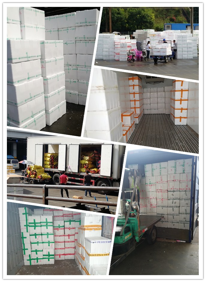 优发国际·随优而动一触即发