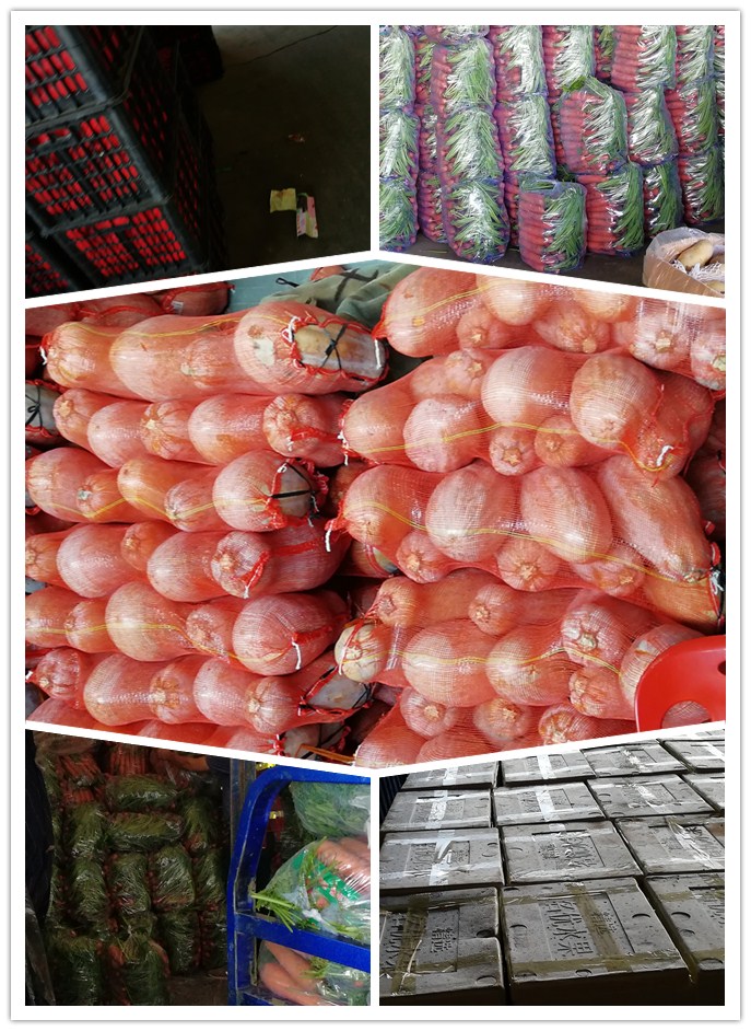 优发国际·随优而动一触即发