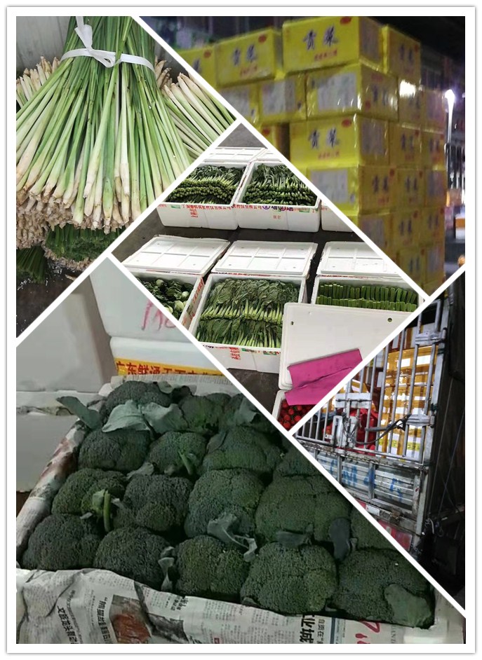 优发国际·随优而动一触即发