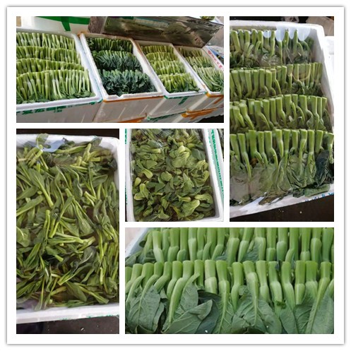 优发国际·随优而动一触即发