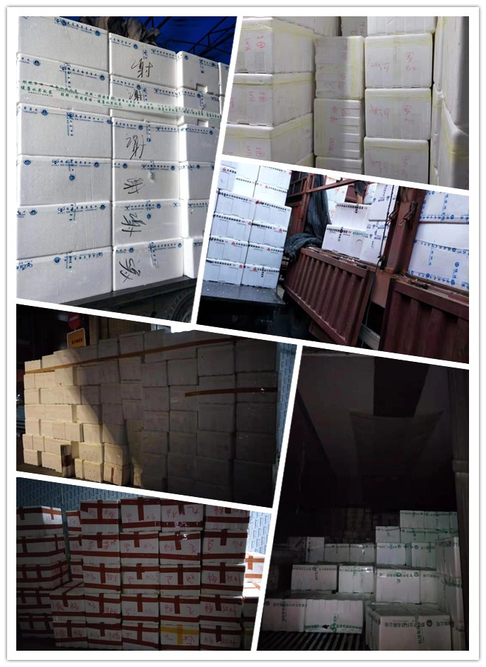 优发国际·随优而动一触即发