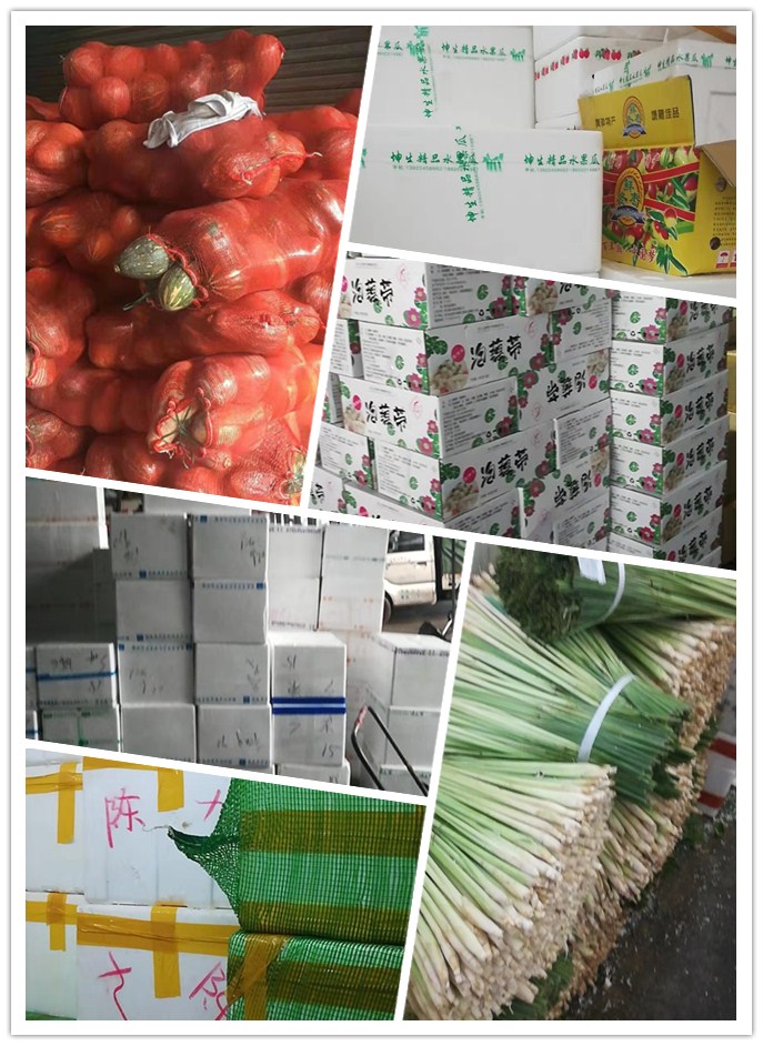 优发国际·随优而动一触即发