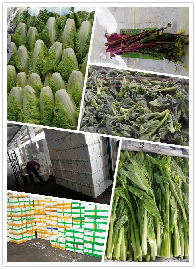 优发国际·随优而动一触即发