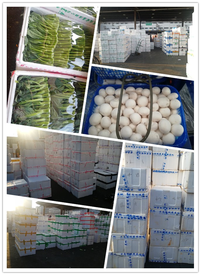 优发国际·随优而动一触即发