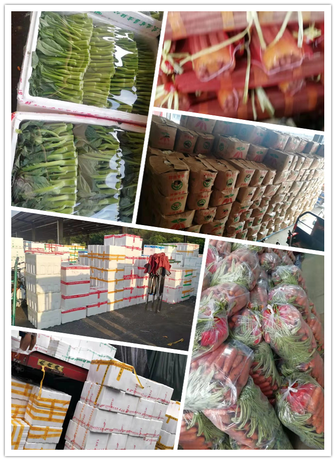 优发国际·随优而动一触即发