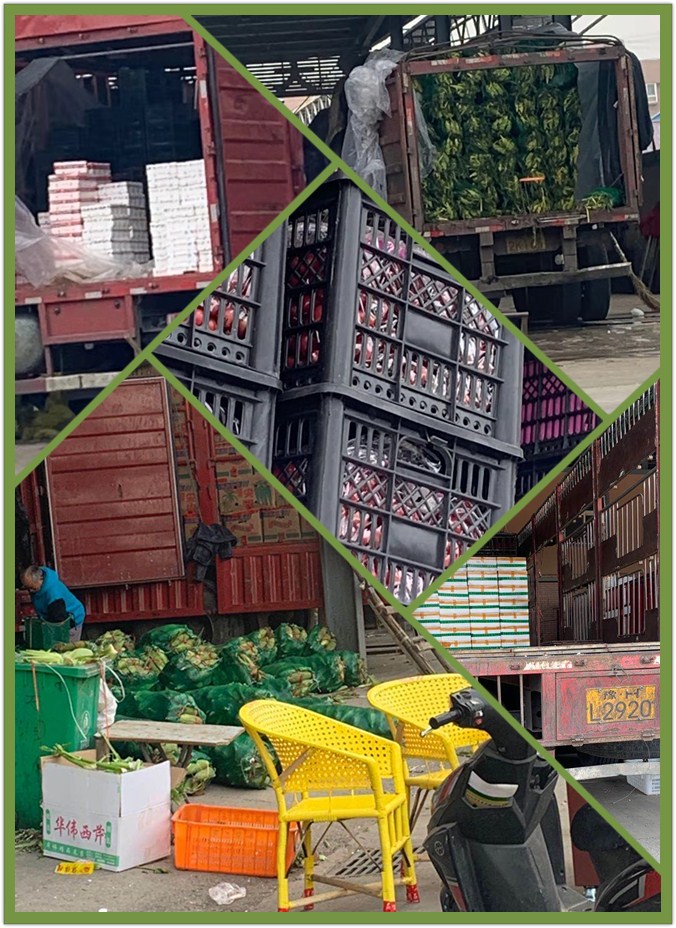 优发国际·随优而动一触即发