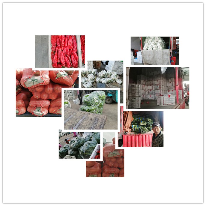 优发国际·随优而动一触即发