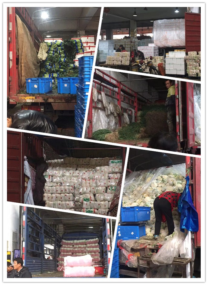 优发国际·随优而动一触即发