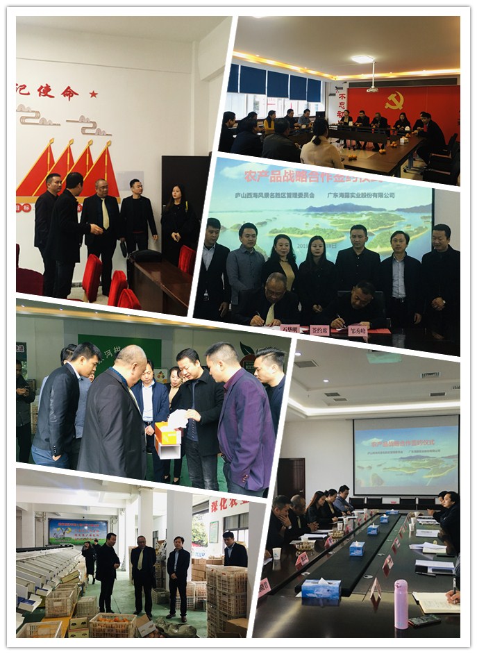 优发国际·随优而动一触即发