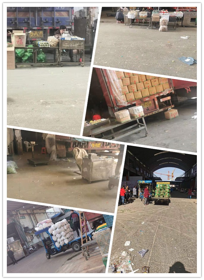 优发国际·随优而动一触即发