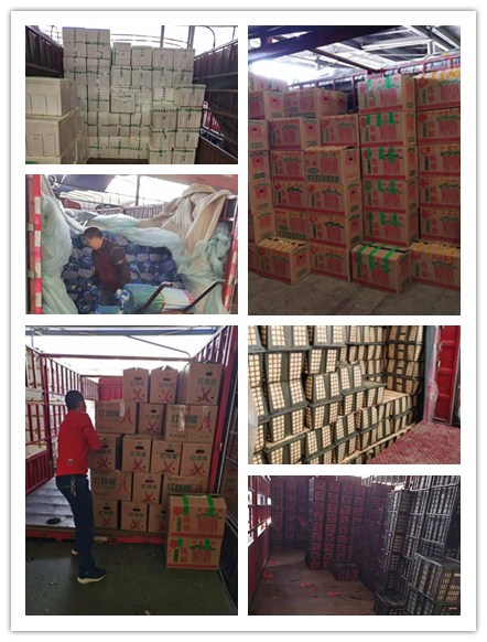 优发国际·随优而动一触即发