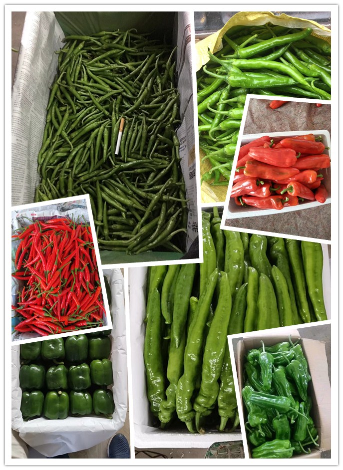 优发国际·随优而动一触即发