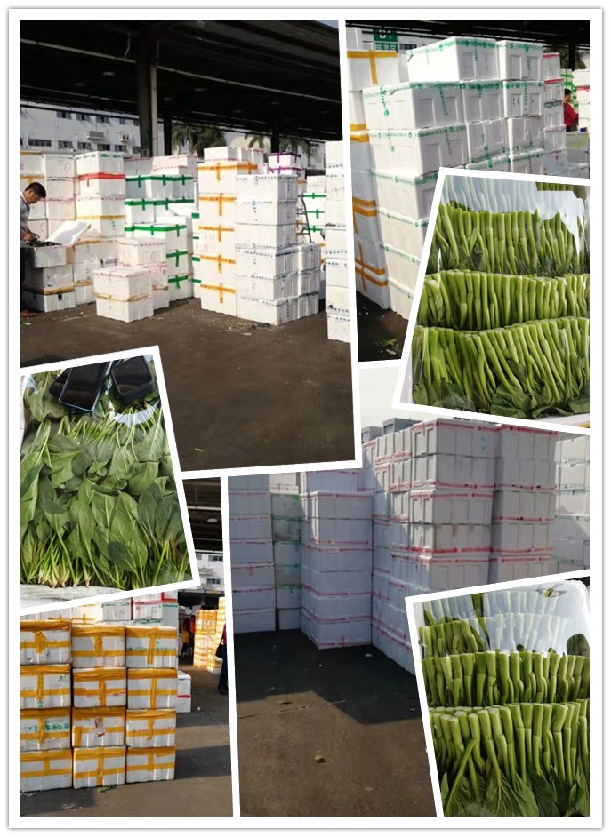 优发国际·随优而动一触即发