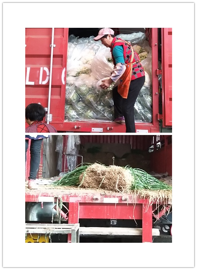 优发国际·随优而动一触即发