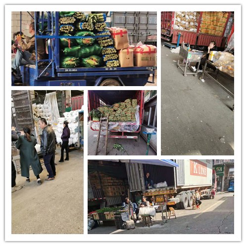 优发国际·随优而动一触即发