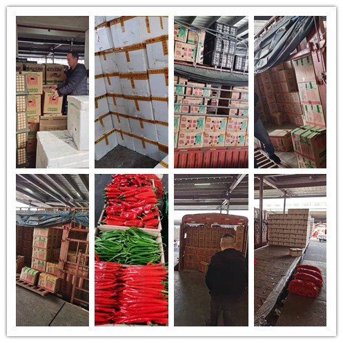 优发国际·随优而动一触即发