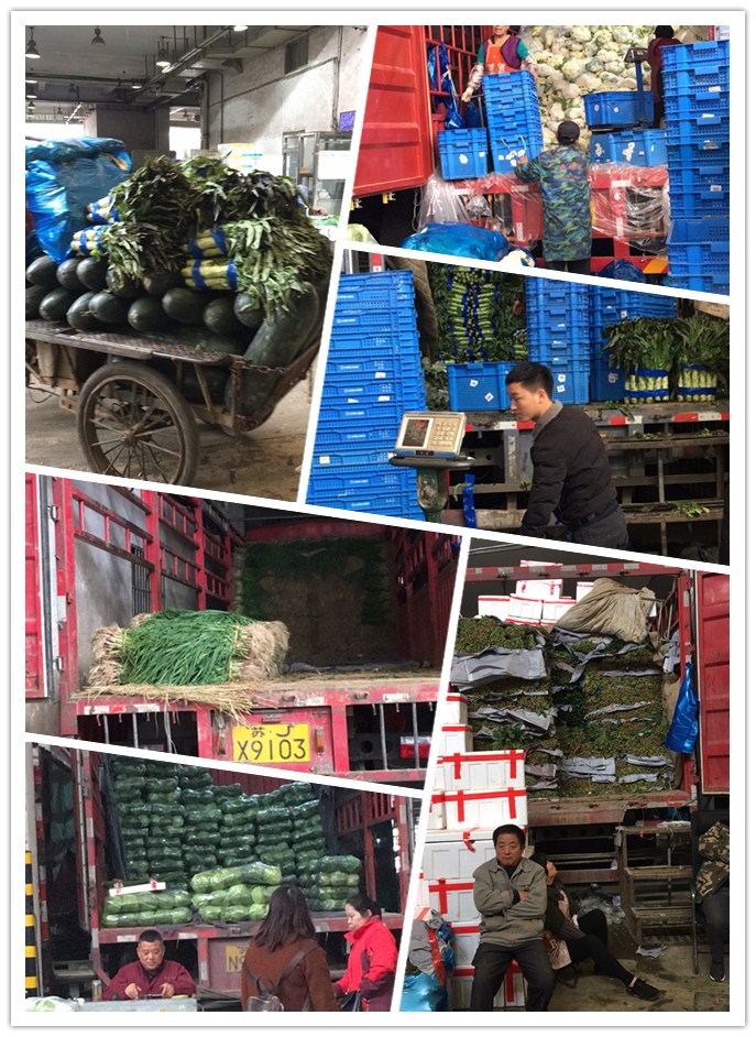 优发国际·随优而动一触即发