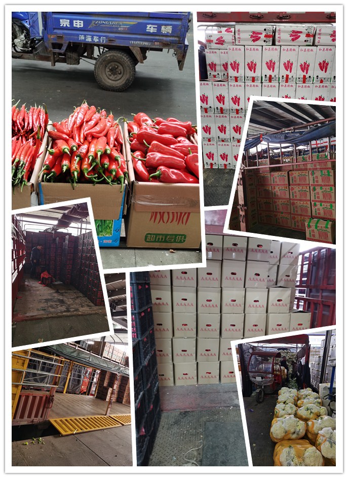 优发国际·随优而动一触即发