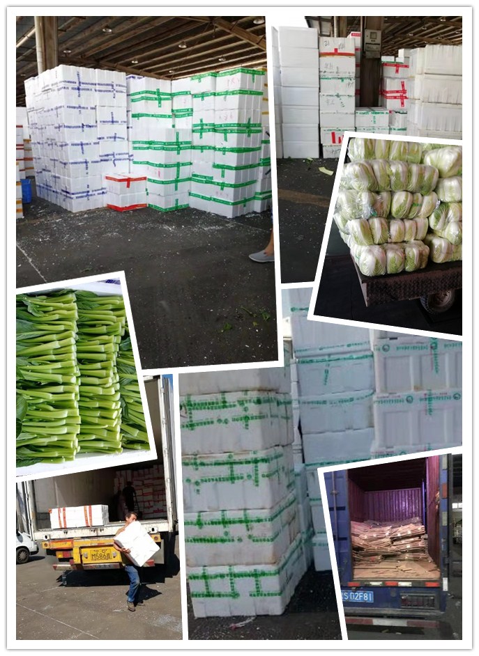 优发国际·随优而动一触即发