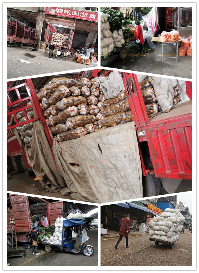 优发国际·随优而动一触即发