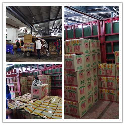 优发国际·随优而动一触即发