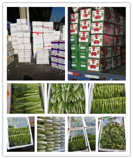 优发国际·随优而动一触即发