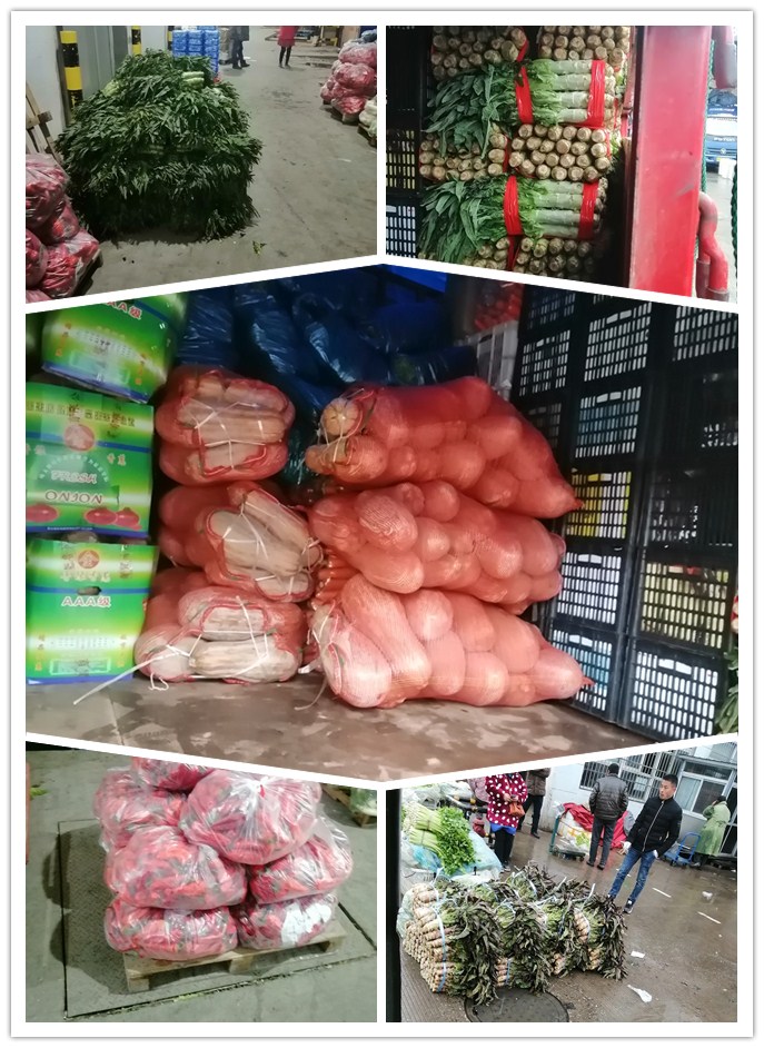 优发国际·随优而动一触即发