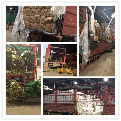 优发国际·随优而动一触即发